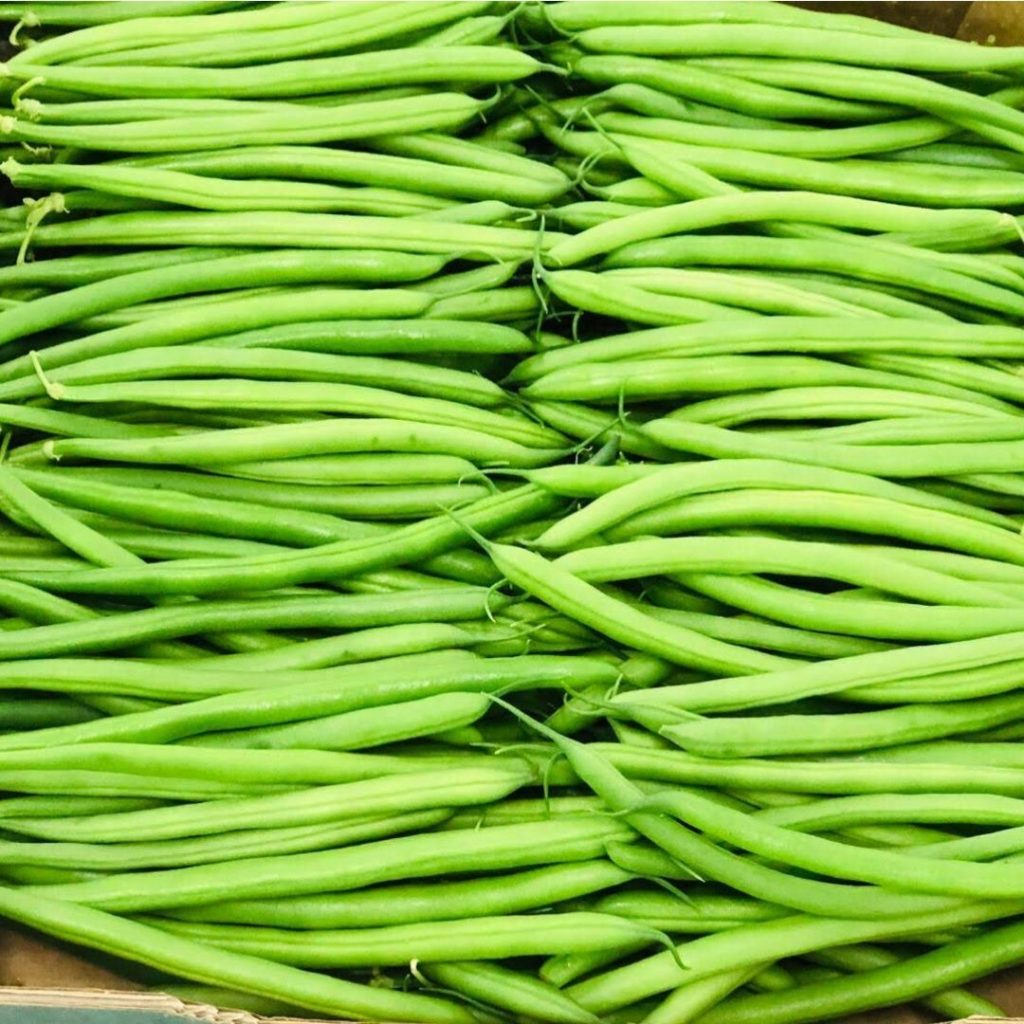 green-beans-egypt